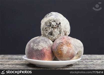three peaches whose surface is covered with mold and started to rot, close-up of spoiled natural food in a white plate on a black background. three peaches with mold