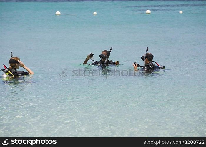 Three people snorkeling in the sea, Roatan, Bay Islands, Honduras
