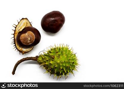 three phases of a chestnut isolated on white background
