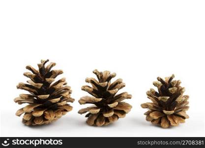 three pine cones. three pine cones isolated on white background