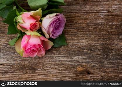  three pink and violet  fresh roses on wooden background. bouquet of fresh roses