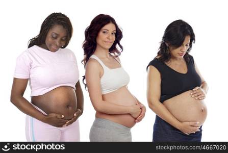 Three pregnant women showing her belly isolated on a white background