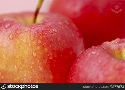 Three red apples with water droplets close up