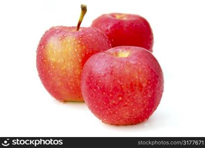 Three red apples with water droplets on white background, focus on the middle apple