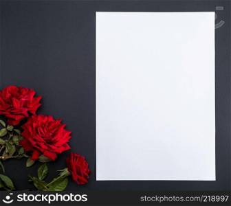 three red blooming roses on a black background and an empty white paper sheet, copy spacemourning