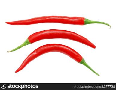 Three red hot chili peppers isolated on white background. Red Hot Chili Peppers