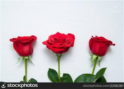Three Red Roses on white wooden Background. copy space - Valentines and 8 March Mother Women&rsquo;s Day concept. Three Red Roses on white wooden background. copy space - Valentines and 8 March Mother Women&rsquo;s Day concept.