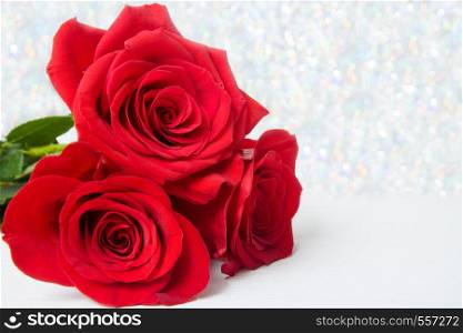 Three Red Roses with boke Background. copy space - Valentines and 8 March Mother Women's Day concept. Three Red Roses with boke Background. copy space - Valentines and 8 March Mother Women's Day concept.