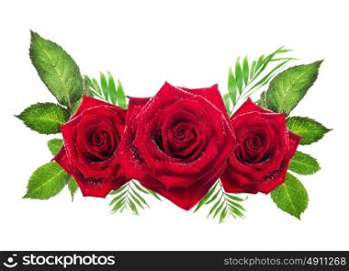 three red roses with leaves on white background, flowers object