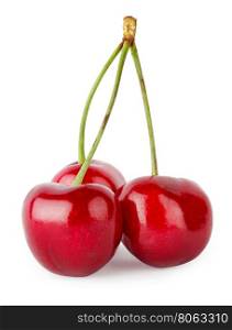 Three ripe cherries on the handle isolated on white background. Three ripe cherries on the handle