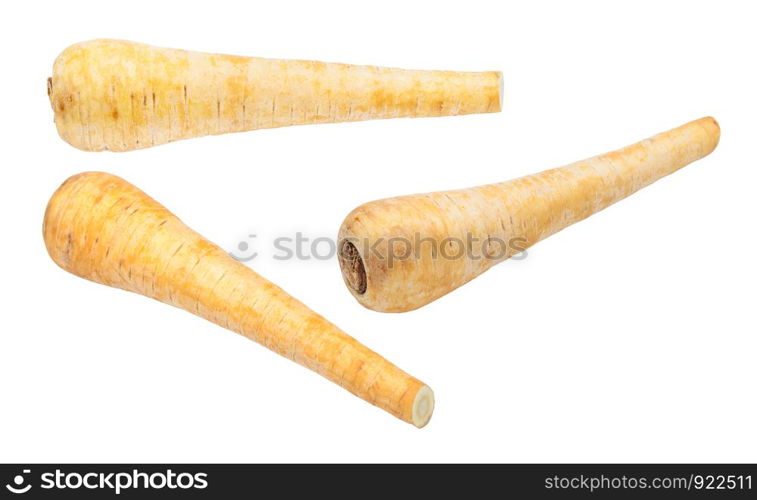 three ripe roots of Parsnip (pastinaca sativa) plant isolated on white background