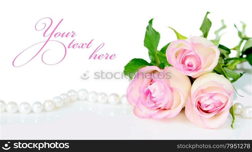 Three roses in drops of dew on a white background