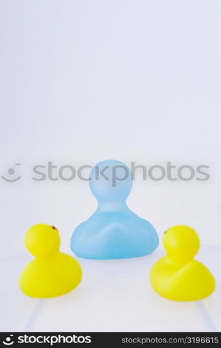 Three rubber ducks on a white background