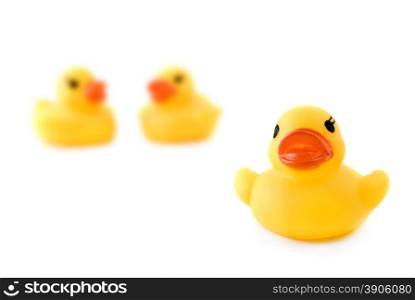 three rubber yellow ducks isolated on white