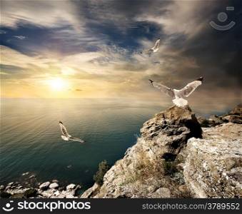 Three seagulls over the sea and mountains at sunset