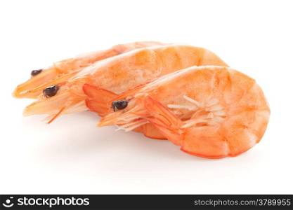 Three shrimps isolated on a white background