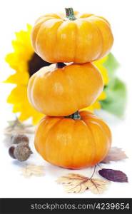 Three stacked mini pumpkins with fall leaves over white