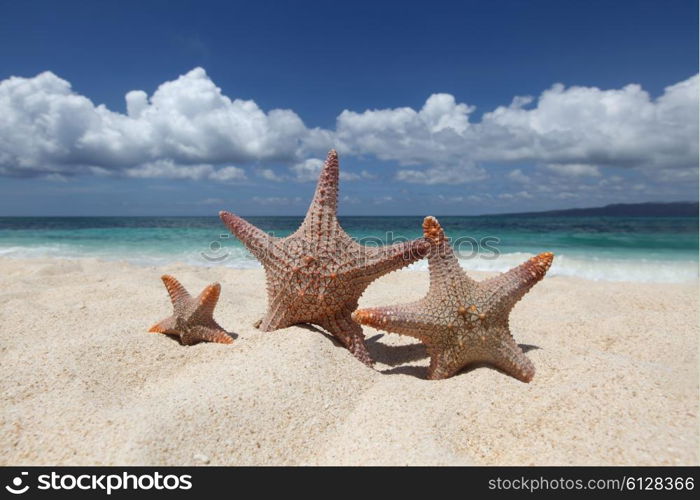 Three starfish on beach. Three starfish on sand of tropical beach at Philippines