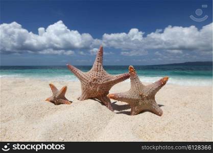 Three starfish on beach. Three starfish on sand of tropical beach at Philippines