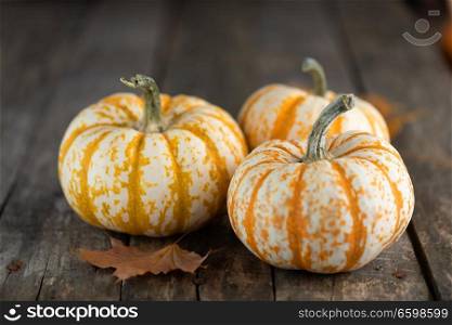 Three striped yellow pumpkins and dry autumn leaves on old wooden background , Halloween concept. Pumpkins on wooden background