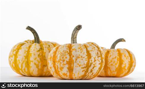 Three striped yellow pumpkins isolated on white background , Halloween concept. Three striped pumpkins
