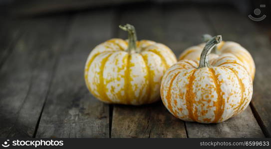 Three striped yellow pumpkins on dark wooden background , Halloween concept. Pumpkins on wooden background