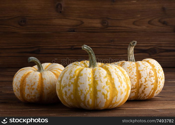 Three striped yellow pumpkins on dark wooden background , Halloween concept. Pumpkins on wooden background