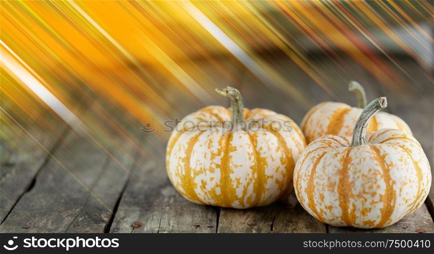 Three striped yellow pumpkins on dark wooden background , Halloween concept. Pumpkins on wooden background
