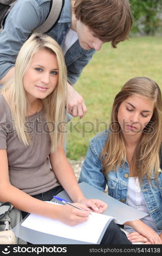 Three students studying in the park