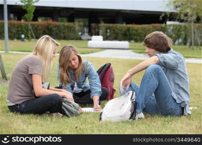 Three students studying on the grass