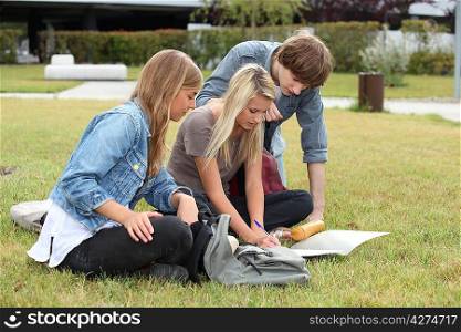 Three students studying on the grass