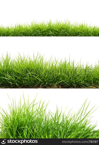 three style fresh spring green grass