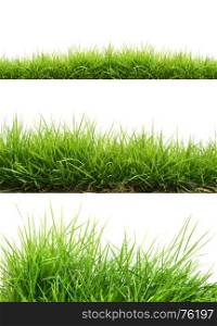 three style fresh spring green grass