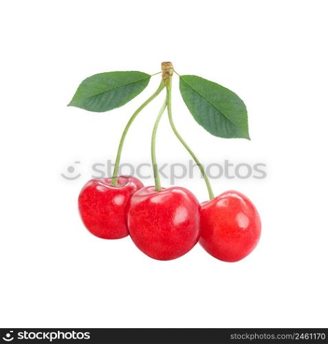 Three sweet cherries together with leaves isolated on white background.. Three sweet cherries together with leaves isolated on a white background.