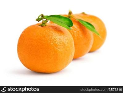 three tangerine isolated