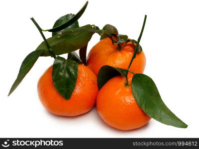 three tangerines isolated on a white background