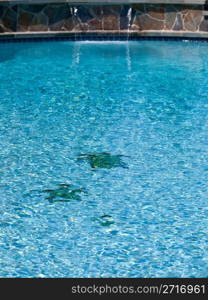 Three tiled turtle shapes on the floor of a blue swimming pool with ripples and a distant out of focus waterfall