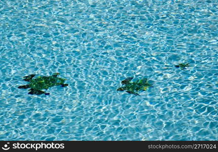 Three tiled turtle shapes on the floor of a blue swimming pool with ripples