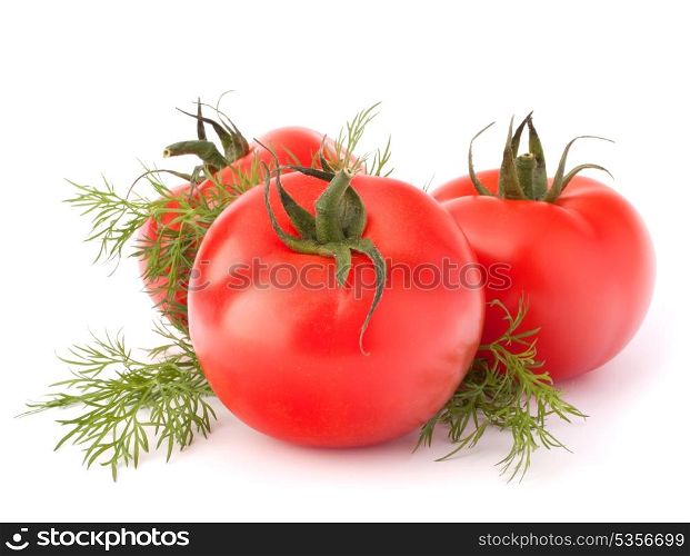Three tomato vegetables and dill leaves still life isolated on white background cutout