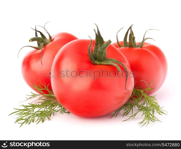 Three tomato vegetables and dill leaves still life isolated on white background cutout