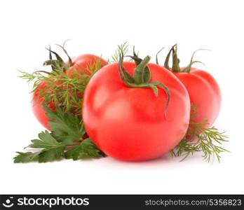 Three tomato vegetables and parsley and dill leaves still life isolated on white background cutout