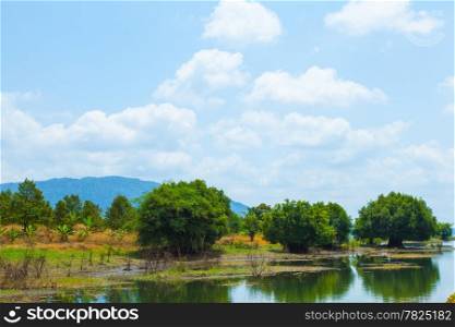 Three trees along the river. Bright sky behind the mountains in rural areas.