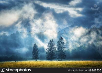Three trees in low clouds at amazing sunrise in Slovenia. Colorful landscape with green forest in fog, yellow grass, mountains in summer at dawn. Nature. Scenery with meadows, foggy wood. Dramatic