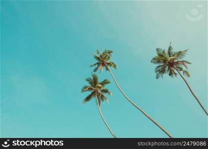 Three tropical palm trees over clear blue sky background vintage color stylized