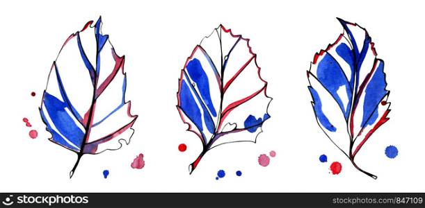 Three watercolor stylized graphic autumn leaves. Hand-painted with black, blue and red ink with early color drops on the background. Isolated objects on white background.. Three watercolor stylized graphic autumn leaves.