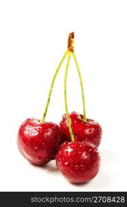 three wet cherries. three wet cherries on white background