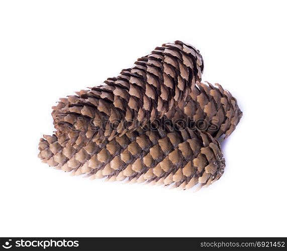 three whole brown cones isolated on white background