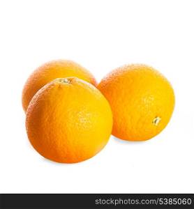 Three whole oranges isolated on white background