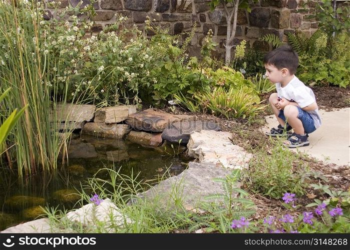 Three year old boy looking at garden pond.