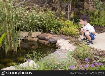 Three year old boy looking at garden pond.